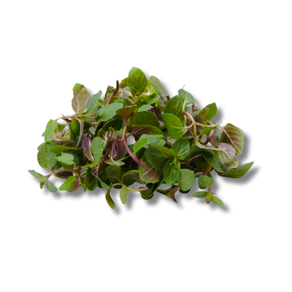 hierbabuena